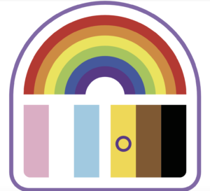 An LGBTQ Rainbow sits above the trans flag.